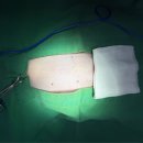 대흥동물병원 이미지