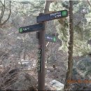 천보체육회 이미지