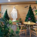 의료법인 완주의료재단 이미지