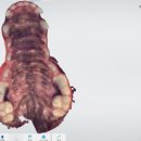 스무살의꿈 동물병원 이미지