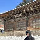 보광사 | 파주 가볼 만한 곳 보광사 방문 후기 + 웅장한 대불과 정월대보름 행사, 영조의 나무까지