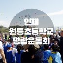 원통초등학교 | 인제원통초등학교 가족 명랑운동회 / 아이들이 즐거운 체육대회 ,mc섭외 음향대여까지 한번에 가자...