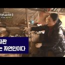 김영일 농장 이미지