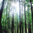 주식회사 케이엔엔 이미지