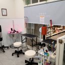 웰니스 펫뷰티 이미지