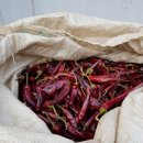 서리농장 이미지