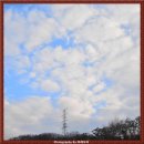 위례강변길 이미지