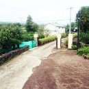 팜파스펜션 이미지