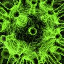 일신바이오테크 이미지