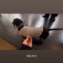 예술대학로3길1L | 10월 시작쓰՞나는 이 지구가 네모난 행성이 되도 널 사랑해