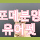 유어펫 네이버블로그