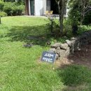 스테이 이삼공오 이미지