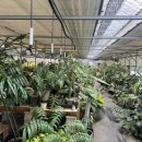 요동농장 이미지