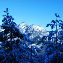 불광1-017 이미지