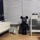광명공판장 네이버블로그