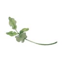 라고바움 호텔 이미지