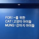 포캣멍 | [자원봉사] 유기견/유기묘/유기동물센터 환경정리 봉사활동! 안산 포캣멍센터 후기