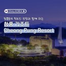 도담PC | 🌿 청풍호 감성 그대로 담은 힐링 스테이🌿｜청풍리조트(Cheong Pung Resort)