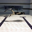 대부복지체육센터 이미지