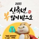 고등로 이미지