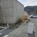 풀빌라 청아연 | 담양 감성숙소 풀빌라 청아연 후기 - 재방문 의사 100%