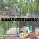 비슬산자연휴양림 | 대구 근교 캠핑 비슬산자연휴양림 캠핑장 21번 데크 첫 캠핑 도전 후기
