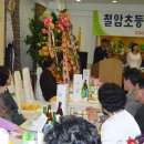 철암초등학교 이미지