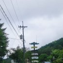 정선 여행 | 연리지펜션 급하게 잡았는데 눈앞에 역대급 청정 계곡 펼쳐져서 기절할 뻔한 후기 내돈내산