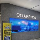 아프리카안경원 청량리역사점 이미지