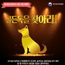 골든독 이미지