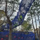 용인대힘찬나래태권도 이미지