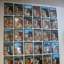 멜버른 승마 이미지