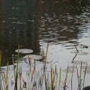 삼암 | 전라도정자詩로 만난 인물(1026)-정원용(鄭元容)