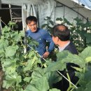 곡성농협 APC 이미지