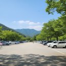 평사리공원2 | 하동 평사리공원 핑크뮬리 명소, 인생샷 스팟은 따로?