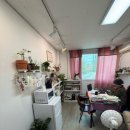 복수서로 | [대전 복수동] 서현타로사주 | 편안한 분위기에서 대전 사주 타로 보고 온 후기