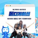 KHIS 한국보건의료정보원 서포터즈 2기 합격후기🌈(합격 꿀팁 포함)