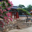 팔공산온천관광호텔 이미지