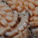 삼성수산식당 이미지