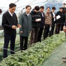 일조농장 이미지