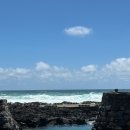 현주네 식당 | 제주도여행]셋째날 :: 중문보말칼국수, 태웃개, 아베베베이커리, 카페 치즈태비, 코난비치, 현주네 치킨