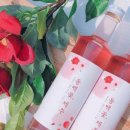 제주본초협동조합 이미지