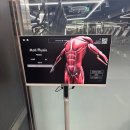 카인드짐24시휘트니스 네이버블로그
