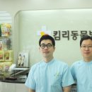 킴리동물병원 네이버블로그