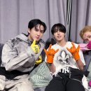 라차 일간스포츠