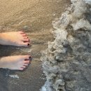 남일대리조트 해수월드 이미지