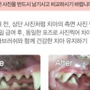 메디웍스 이미지