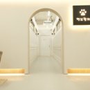 펫브릿지 이미지