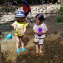 솔밭개울 이미지