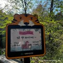 국립백두대간수목원 게스트하우스 | [봉화 가볼만한 곳] 인생 수목원 국립백두대간수목원 호랑이 배꽃길 튤립까지